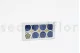Preserved Rose L Ocean Blue (set of 8) 9