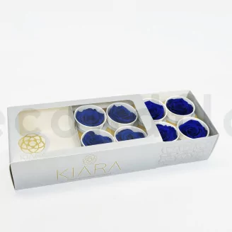 Preserved Rose L Ocean Blue (set of 8)