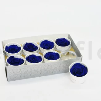 Preserved Rose L Ocean Blue (set of 8)