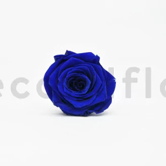 Preserved Rose L Ocean Blue (set of 8)