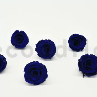 Preserved Rose XL Ocean Blue (set of 6)