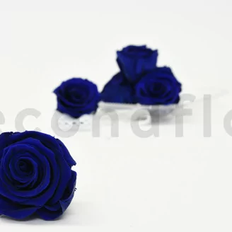 Preserved Rose XL Ocean Blue (set of 6)