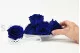 Preserved Rose XL Ocean Blue (set of 6) 3