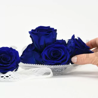 Preserved Rose XL Ocean Blue (set of 6)