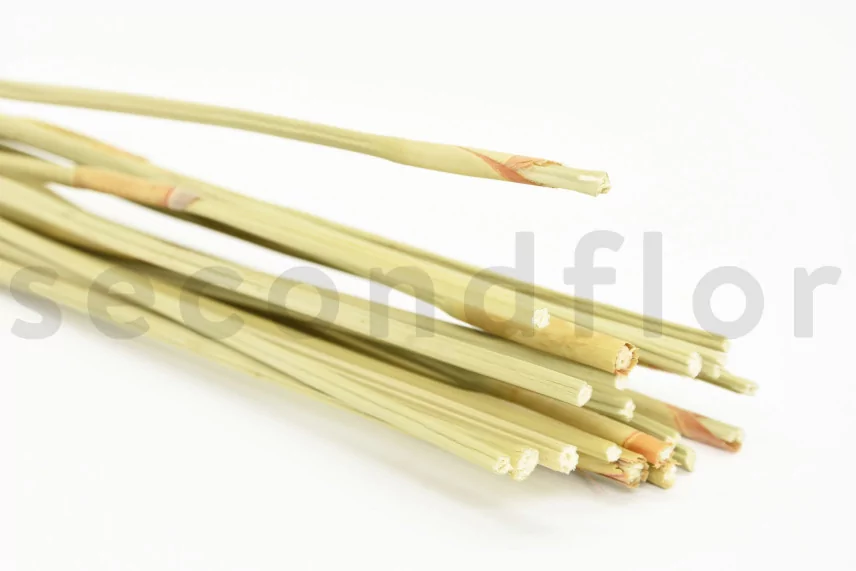 Dried Elephant Reed Natural (set of 20)