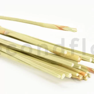 Dried Elephant Reed Natural (set of 20)