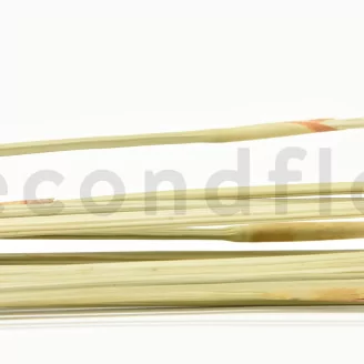 Dried Elephant Reed Natural (set of 20)