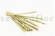 Dried Elephant Reed Natural (set of 20) 6