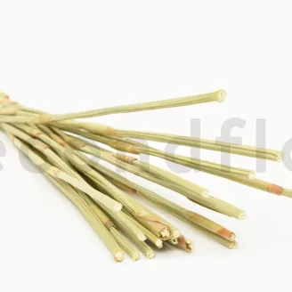 Dried Elephant Reed Natural (set of 20)