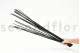 Dried Elephant Reed Black (set of 20) 2