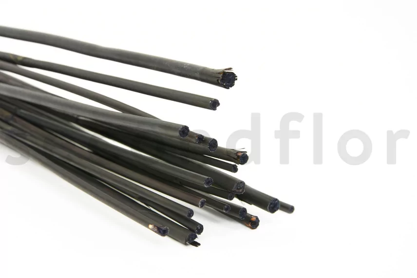 Dried Elephant Reed Black (set of 20)