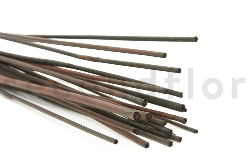 Dried Elephant Reed Brown (set of 20)
