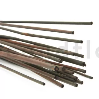 Dried Elephant Reed Brown (set of 20)