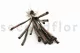 Dried Elephant Reed Brown (set of 20) 4