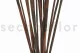 Dried Elephant Reed Brown (set of 20) 6