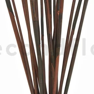 Dried Elephant Reed Brown (set of 20)