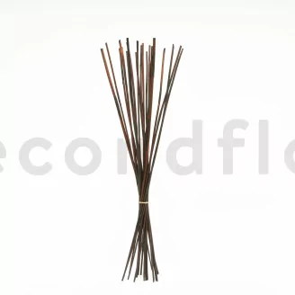 Dried Elephant Reed Brown (set of 20)