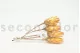 Dried Protea Repens Yellow (set of 5) 12