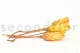 Dried Protea Repens Yellow (set of 5) 4