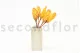 Dried Protea Repens Yellow (set of 5) 7