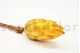 Dried Protea Repens Yellow (set of 5) 5