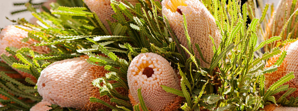 Exploring the Range of Preserved Exotic Flowers