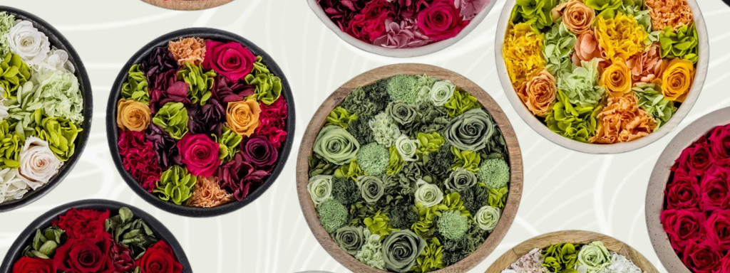 The hat box phenomenon and preserved plants 2.0