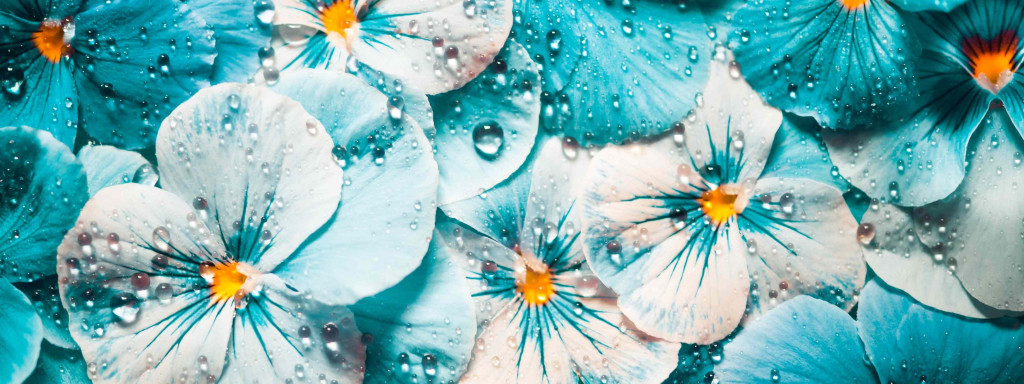 The Impact of humidity on Preserved Flowers: Tips for Different Climates
