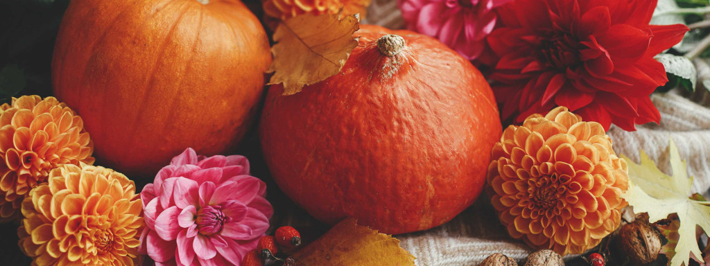 Make your Halloween ever last with preserved plants