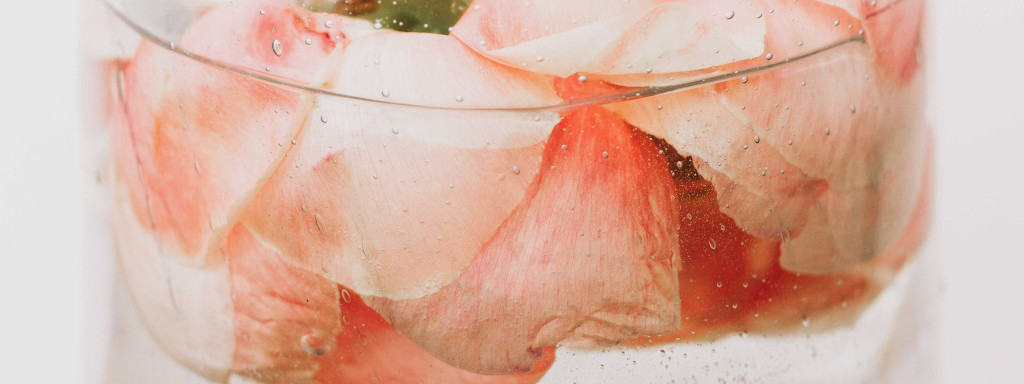How does the preservation by immersion technique work?