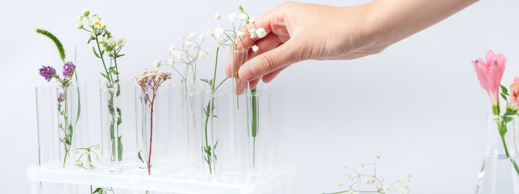 The ultimate guide to flower preservation techniques