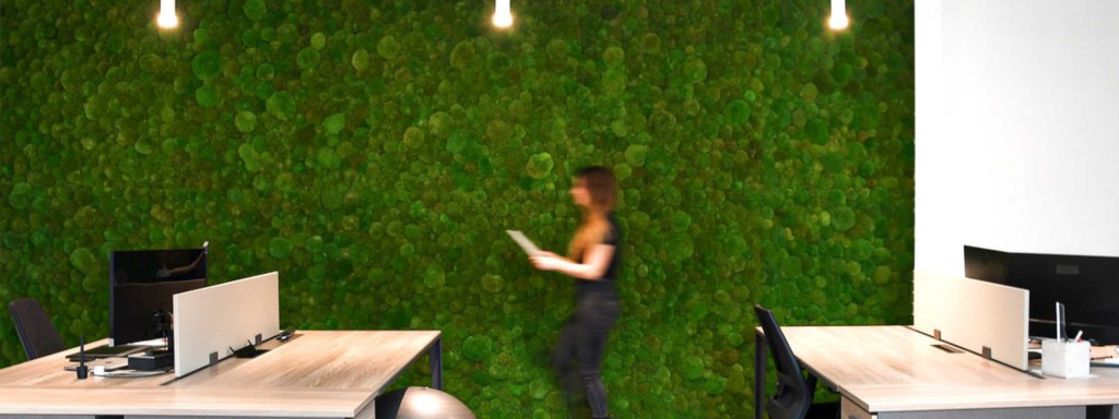 What are the advantages of green walls in the workplace?
