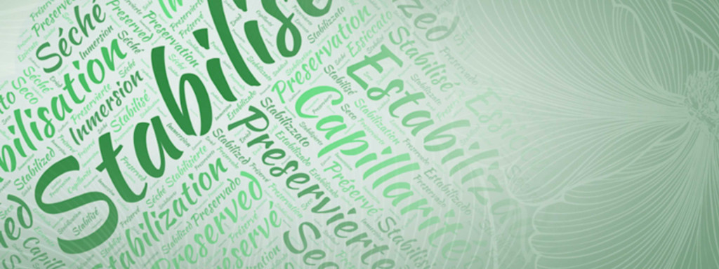 Preservation, stabilization, freeze-drying... What is the vocabulary to use?